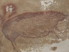 lukisan gua babi kutil sulawesi